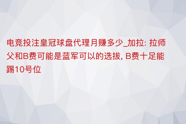 电竞投注皇冠球盘代理月赚多少_加拉: 拉师父和B费可能是蓝军可以的选拔, B费十足能踢10号位