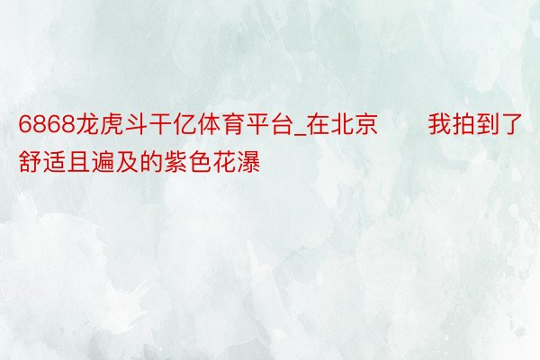 6868龙虎斗干亿体育平台_在北京❗️我拍到了舒适且遍及的紫色花瀑