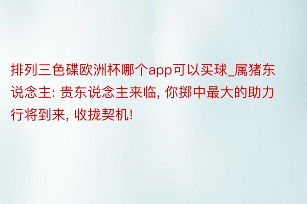 排列三色碟欧洲杯哪个app可以买球_属猪东说念主: 贵东说念主来临， 你掷中最大的助力行将到来， 收拢契机!