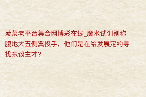 菠菜老平台集合网博彩在线_魔术试训别称腹地大五侧翼投手，他们是在给发展定约寻找东谈主才？