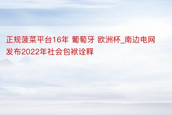 正规菠菜平台16年 葡萄牙 欧洲杯_南边电网发布2022年社会包袱诠释