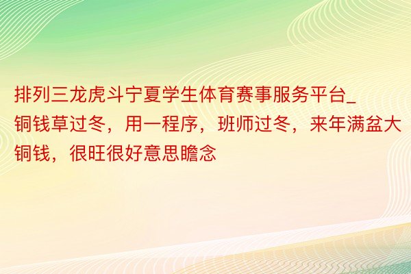 排列三龙虎斗宁夏学生体育赛事服务平台_铜钱草过冬，用一程序，班师过冬，来年满盆大铜钱，很旺很好意思瞻念