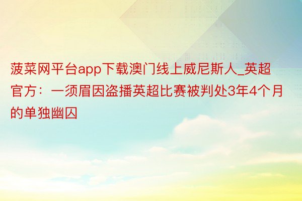 菠菜网平台app下载澳门线上威尼斯人_英超官方：一须眉因盗播英超比赛被判处3年4个月的单独幽囚